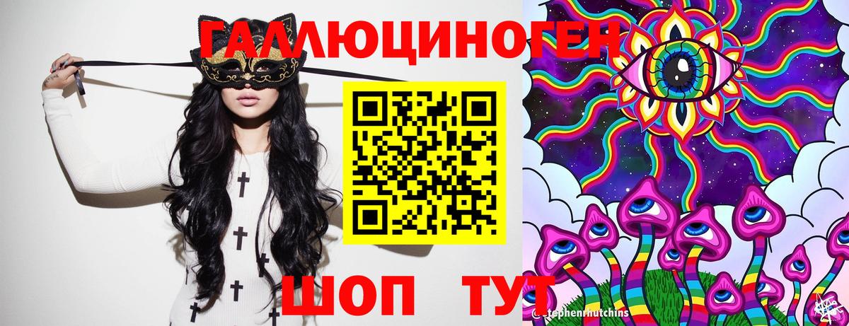Псилоцибиновые грибы Psilocybe Ярославль