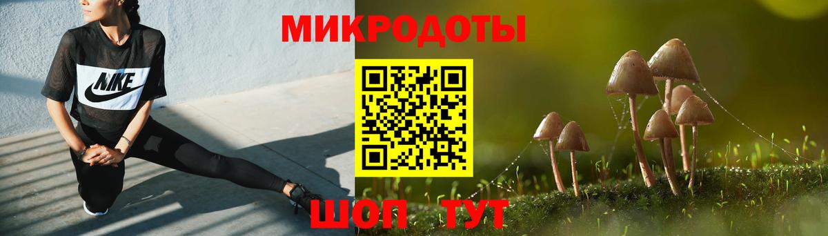 Псилоцибиновые грибы Psilocybe  Галлюциногенные грибы прущие грибы  Ярославль  Вход с VPN 